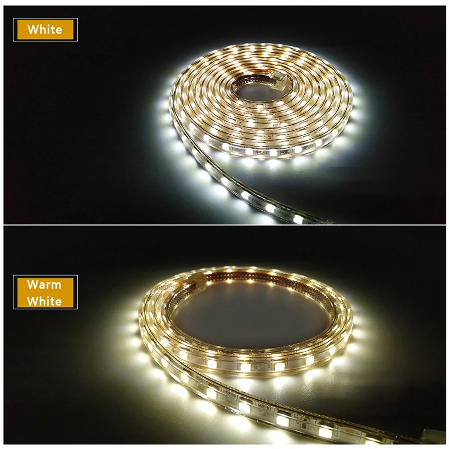 SMD 5050 AC220V LED Strip Flexible Light 60ledsm Waterproof Led Tape LED Light With Power Plug 1M2M3M5M6M8M9M10M15M20M (7)