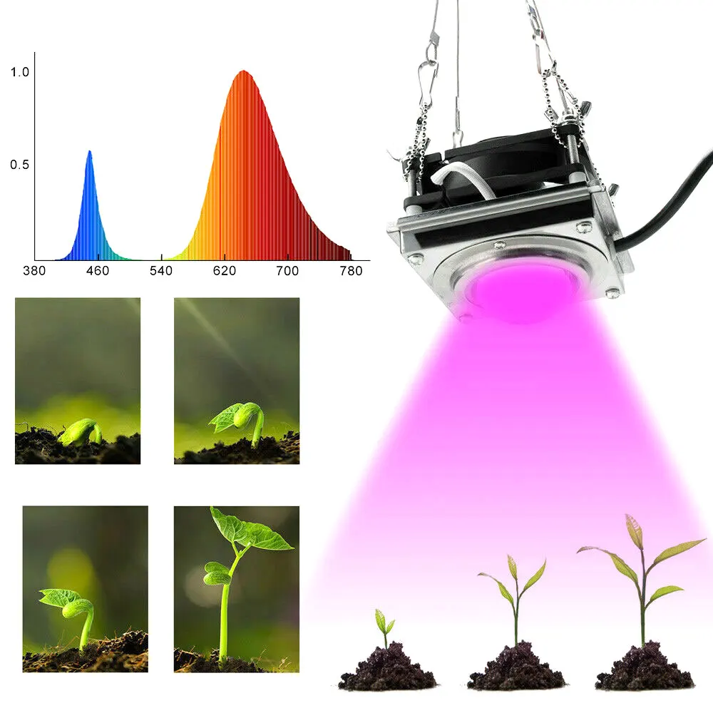 Indoor 50W Cob Full Spectrum Led Plant Grow Light Growing Phyto Lamp For Veg Flower Hydroponic Greenhouse | Лампы и освещение