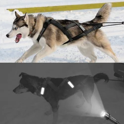 Durable Reflective Waterproof Dog Harness - Chest 95 to 115cm (Black)