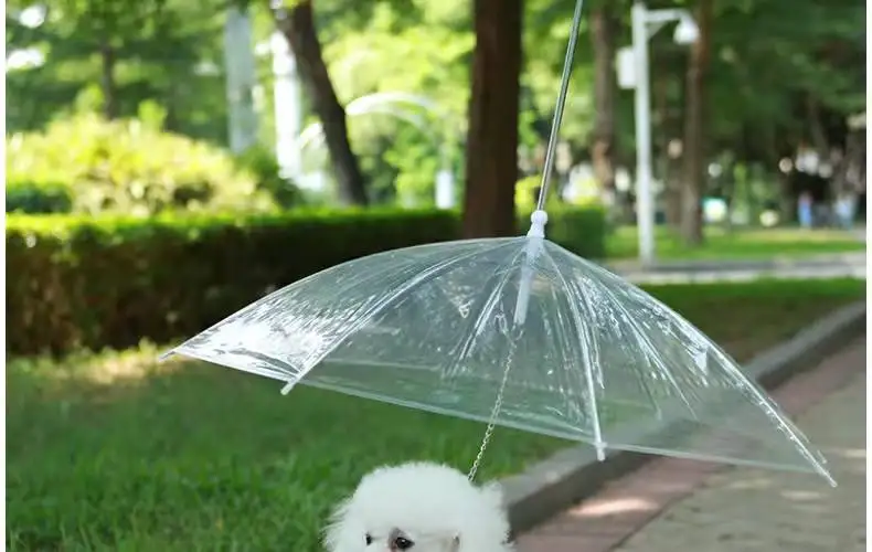 Convenient Transparent Rain Umbrella With A Leash For Dogs