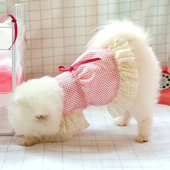 

Lace Mesh Dress Teddy Pomeranian Summer Clothes Princess Dress Puppy Dog 20 New Products Comfortable Dress Breathable