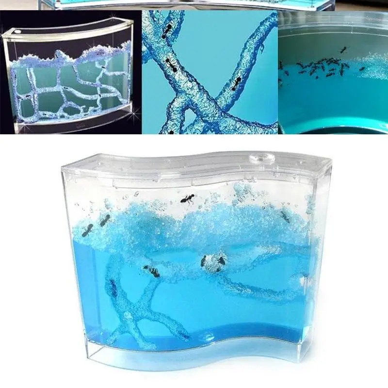 Принадлежности для домашних животных муравьиная ферма Муравьиное Гнездо дом