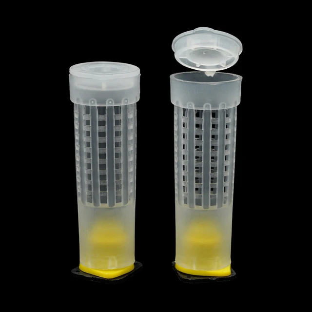 20/50 Pcs Méhész Eszközök Termékenységi Király Talapzatőr Hosszú Fall Pajzs Queen Ketrec Borítója Bejegyzett Levél Szerint - Image 3