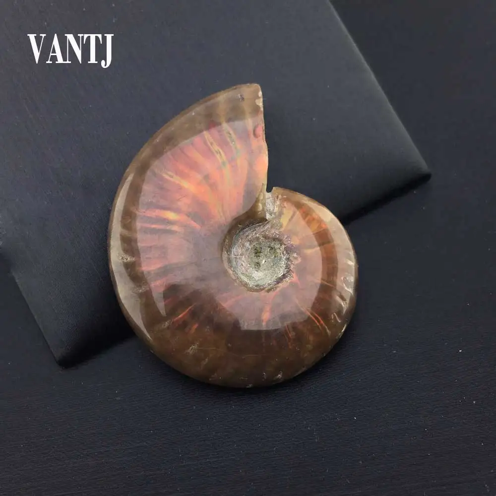 VANTJ High Quality Specimen Conch Ammolite Gift Pendant Decor Natural Gemstone Jewelry Colorful Iridescent Necklace Unisex | Украшения и