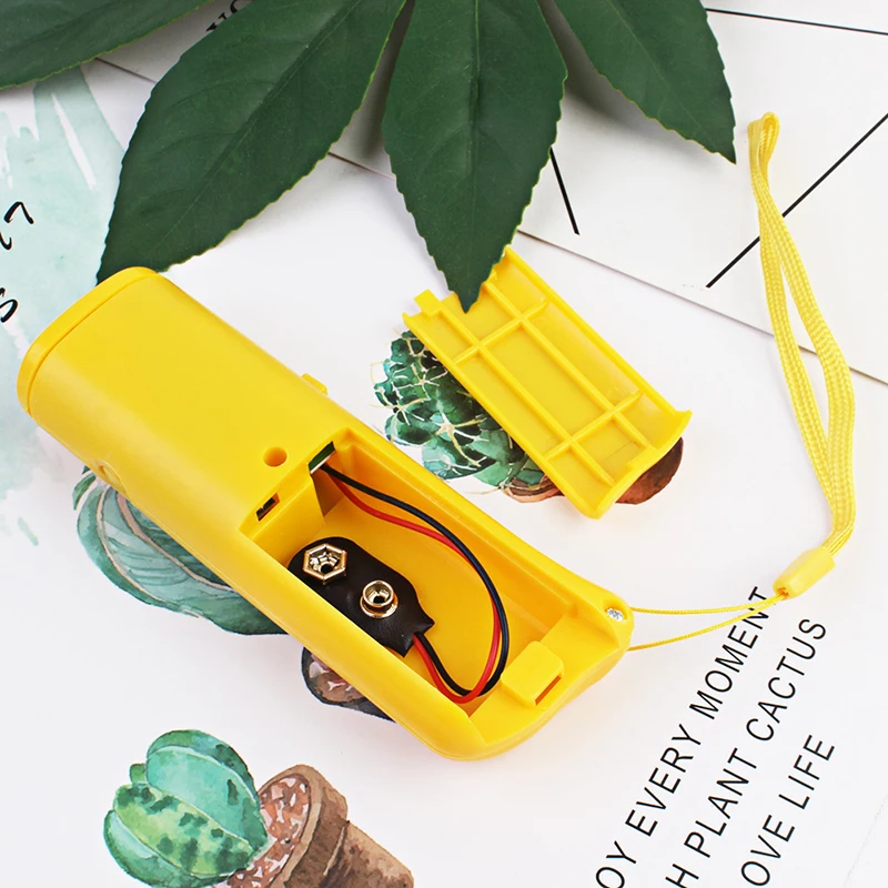 11560928346_1774737292