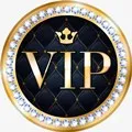 VIP Car Store