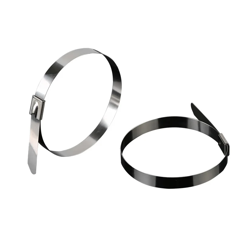 20pcs 10x150/200/350/450mm Stainless Steel Cable Ties Locking Metal Zip-Exhaust Wrap Coated Multi-Purpose | Обустройство дома