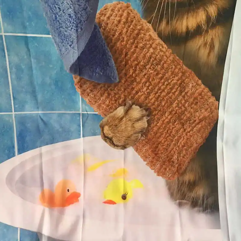 _201811271044122