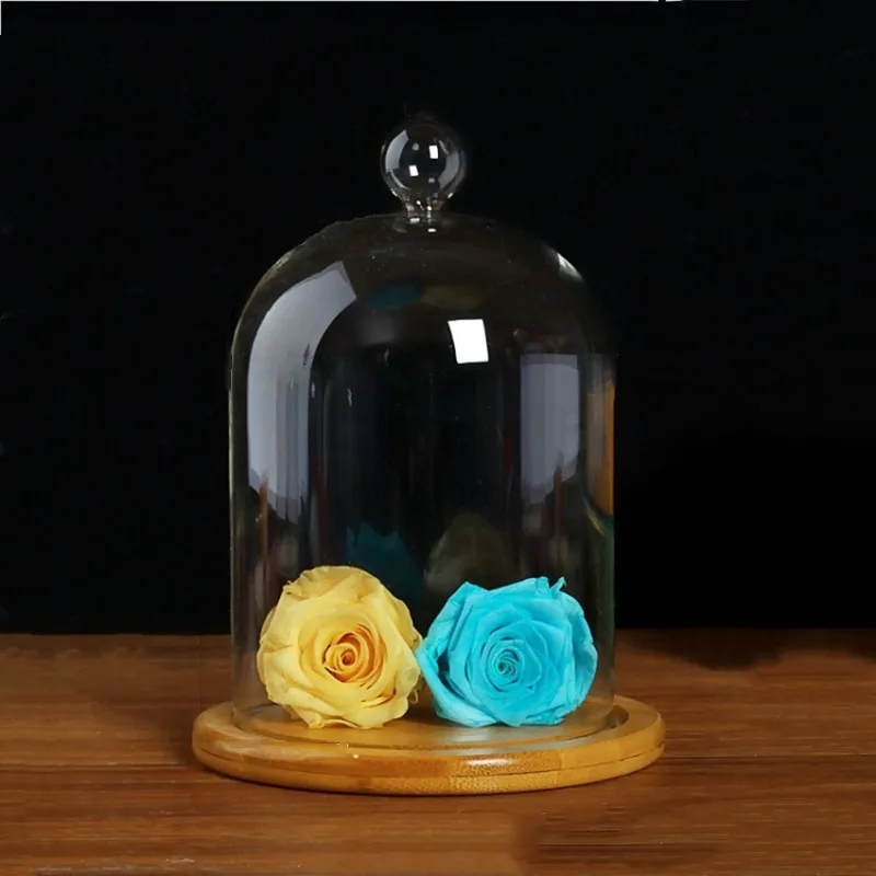 12*16cm Bamboo Base Different Top Glass Dome Vase Home Decoration Transparent Cover Wedding Live Prop DIY Friend Favor Gift 2