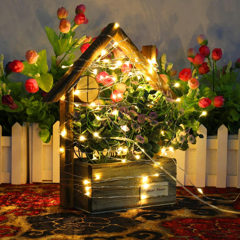 led holiday light (12)