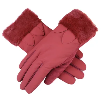 

Winter Points Finger Gloves Women's Windproof Lining Plus Velvet Cold Glove Rabbit Hair Touch Screen Outdoor Daily Warm Mittens