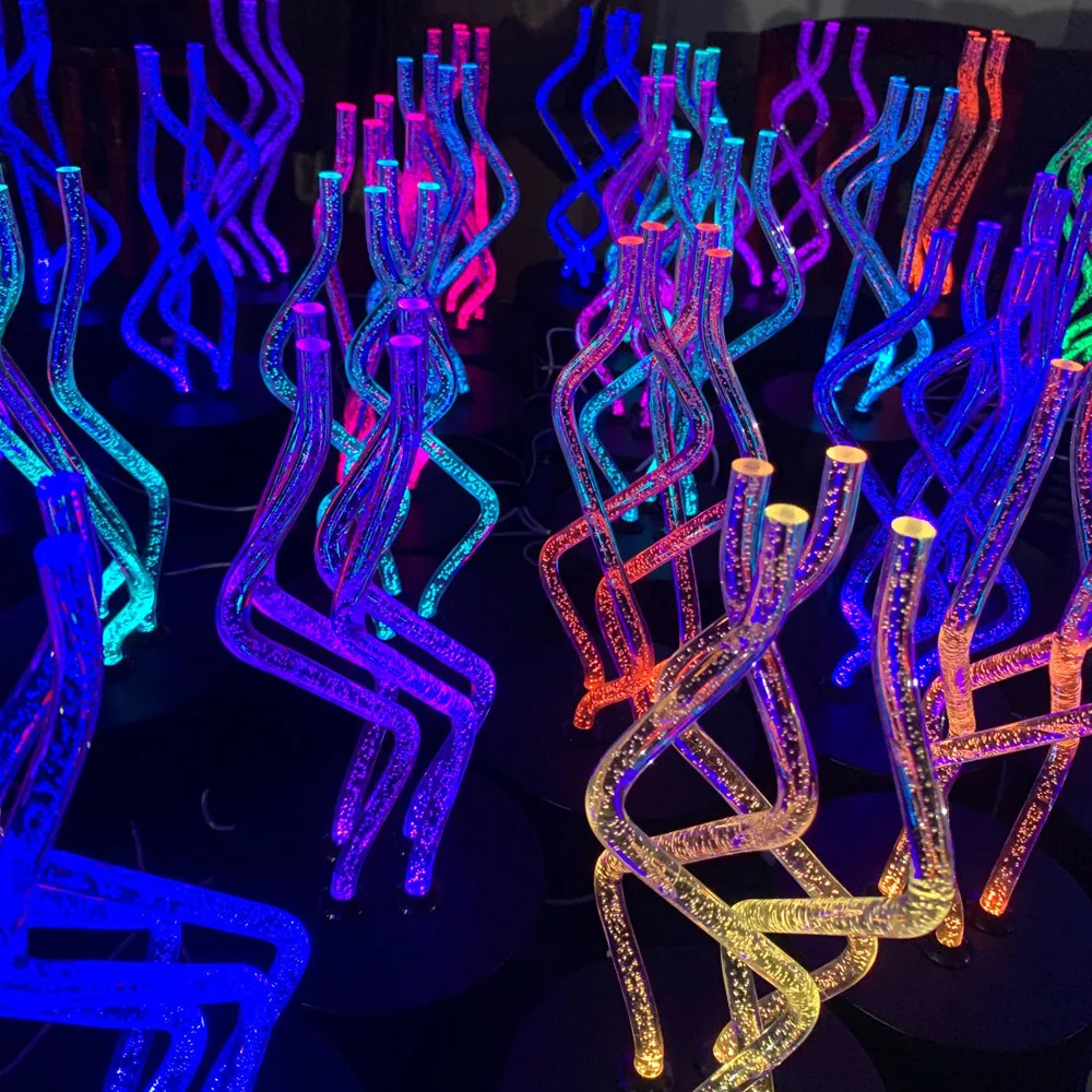 11568546886_1506763378