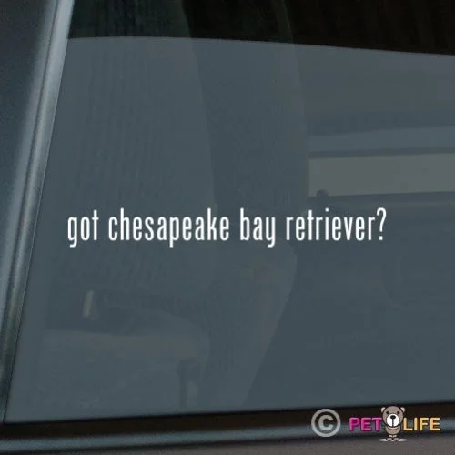 Получить Chesapeake Bay ретривер стикер штамповочный станок из винила-#2 chessie cbr оконная наклейка
