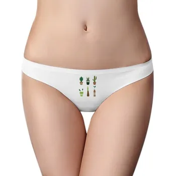 

Cactus Potted Plant Succulents Women Panties Invisible Seamless Briefs G-string T-back 2pcs Gift