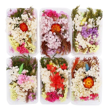 1 caja de Flores prensadas, pequeño libro de recortes de Flores Secas, decoración de flor seca DIY para el hogar, Mini Flores Secas