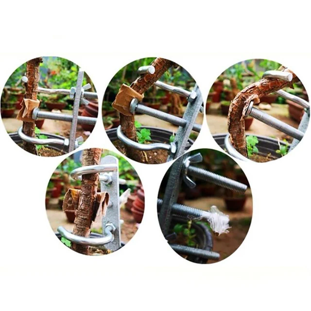 Trees Ág Modulátor Csomagtartó Hajlító Szerszám Kertészet Fa Beállító Széna Acél Diy Modellező Eszköz Mumr999 - Image 5