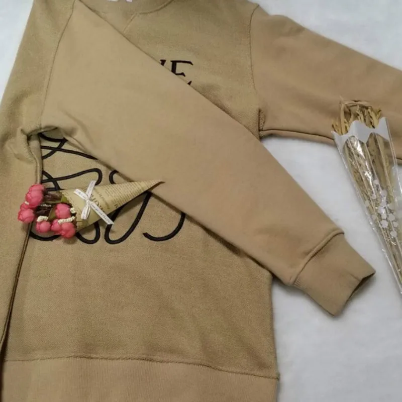 Women's Sweater Korean Casual L Letter Embroidery