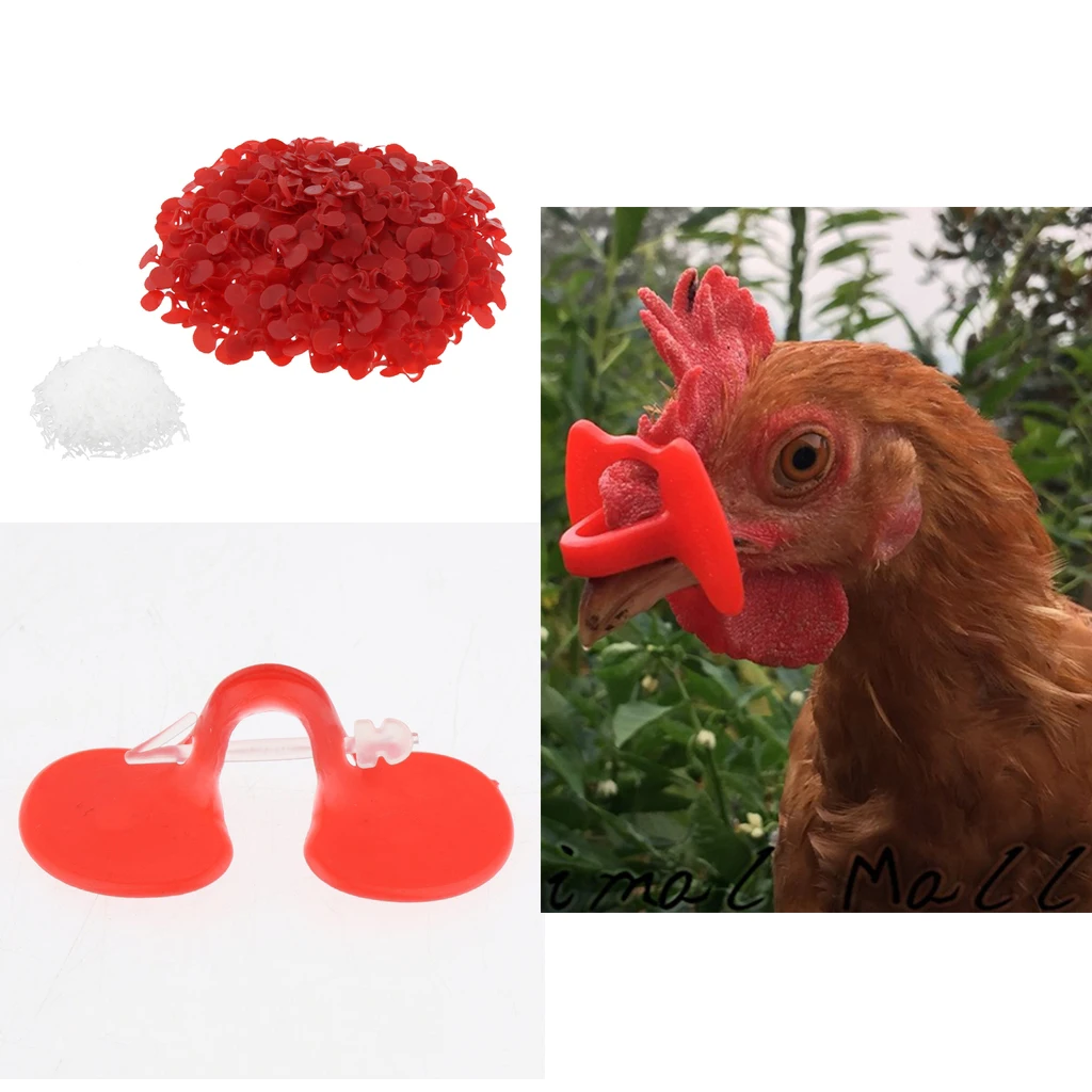 500pcs Anti-Pecking Eye Glasses Blinders Spectacles for Chicken Rooster Hen
