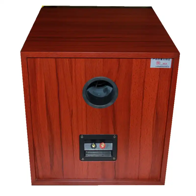 10 inch passive subwoofer