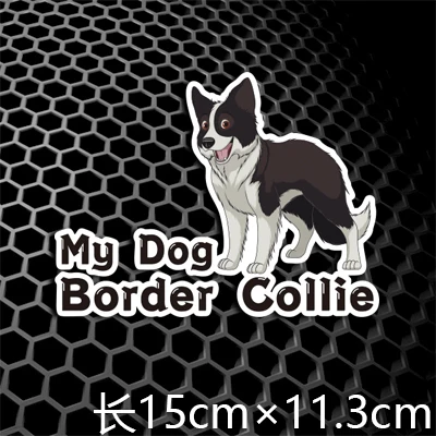 H0726 150x113mm Наклейки на автомобиль BORDER COLLIE, семейная собака, умный мотоцикл, авто, весь корпус, окно, хвост, виниловые переводные наклейки на бампер 3M - Название цвета: H0726 150x113mm