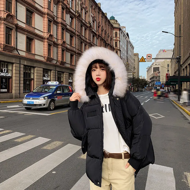 

Autumn And Winter New Style Cotton-padded Clothes Women's Mid-length Large Fur Collar Korean-style Loose Casual Fashion WOMEN'S