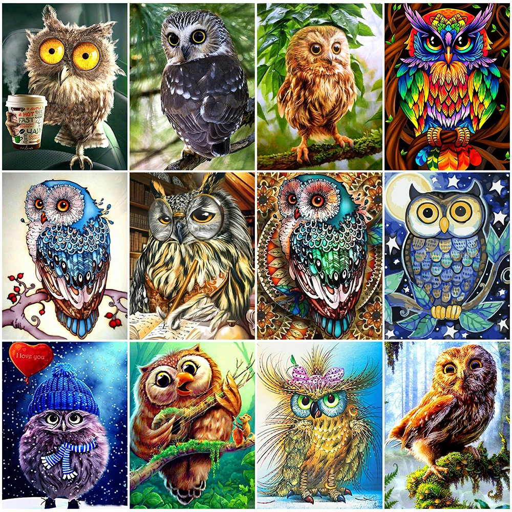 EverShine Diamond Mosaic Full Square Owl Rhinestones Art Animal Diamond Painting Cartoon Cross Stitch Decoration For Home