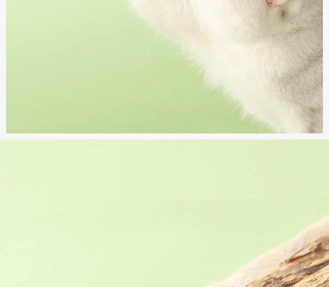 8 шт. Xiaomi Youpin Домашние Животные Кошки чистящие зубы натуральная кошачья мята молярная зубная паста Жевательная Серебряная лоза палочки Actinidia Polygama домашние закуски