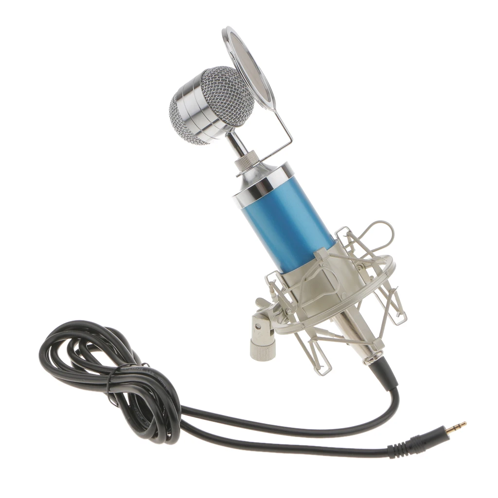 Condenser Studio KTV High Quality Sound Recording Microphone w/ Shock Mount