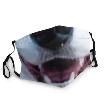 

Cute Dog Reusable Face Mask Printed Dustproof Mask Protection Mask Respirator Mouth Muffle