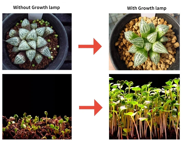 Светодиодный светильник Grownth для выращивания растений, запчасти для самостоятельной сборки, для помещений, для выращивания урожая, для магазина, для культуры, для тента, для палатки, комплект, гидропонное квантовое удобрение