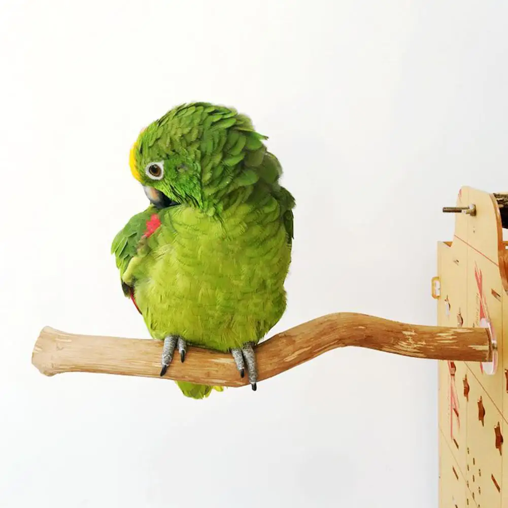 Pet попугай веревка для птицы палка дикая виноград деревянный полюс птица Cockatiel Parakeet perches кусающий коготь шлифовальная Игрушка аксессуары для птичьей клетки