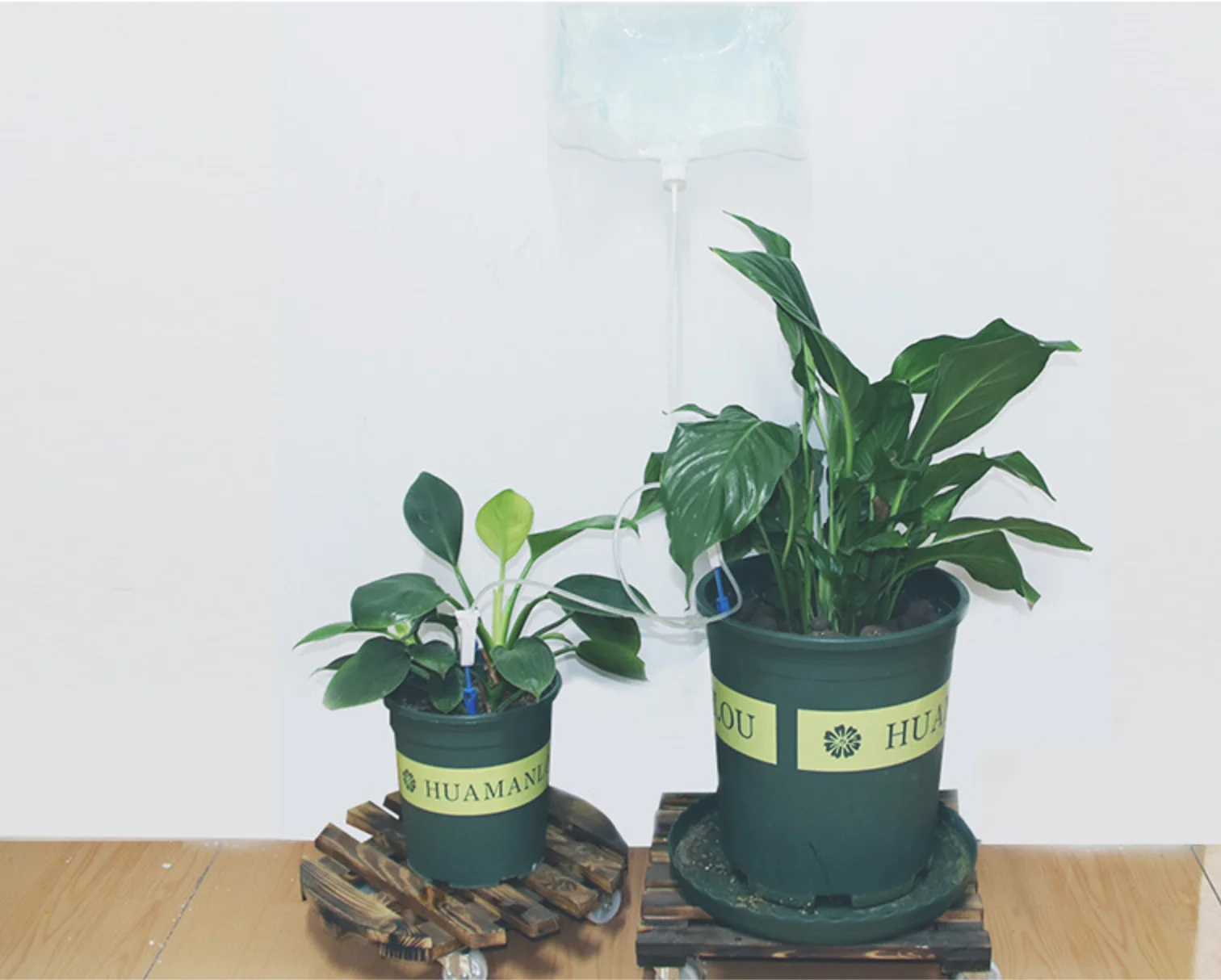 Automatic Watering Bag 3.5Liters Automatic Watering Irrigation Drippers Bag Indoor Garden Plant Flower Nutrient Solution with Adjustable Flow Rate