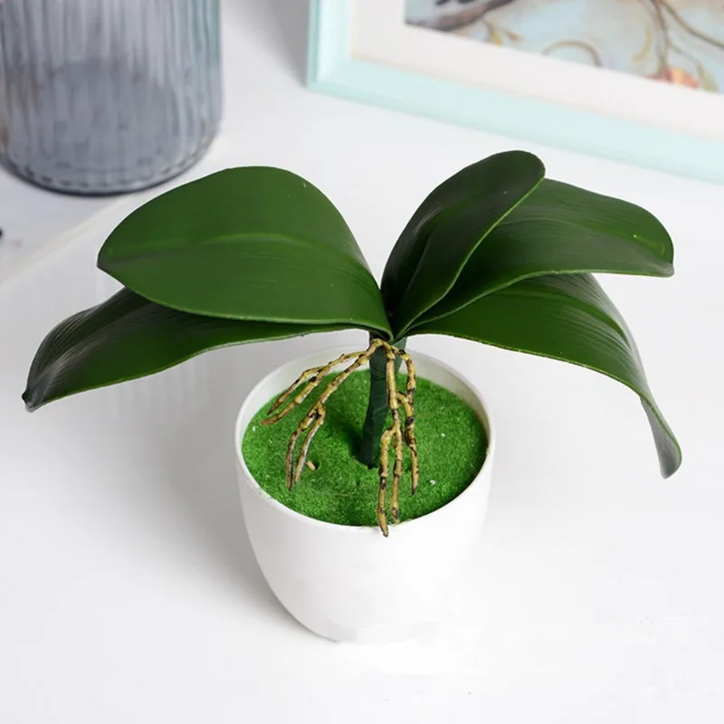 Ornament Potted-Plants Wedding-Decoration-Supplies Garden-Decor Home for Simulation-Of-The-Phalaenopsis-Leaf Ornament Potted-Plants Wedding-Decoration-Supplies Garden-Decor Home for Simulation-Of-The-Phalaenopsis-Leaf