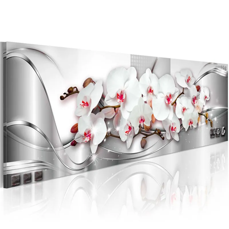 Elegant White Orchid Flowers 3