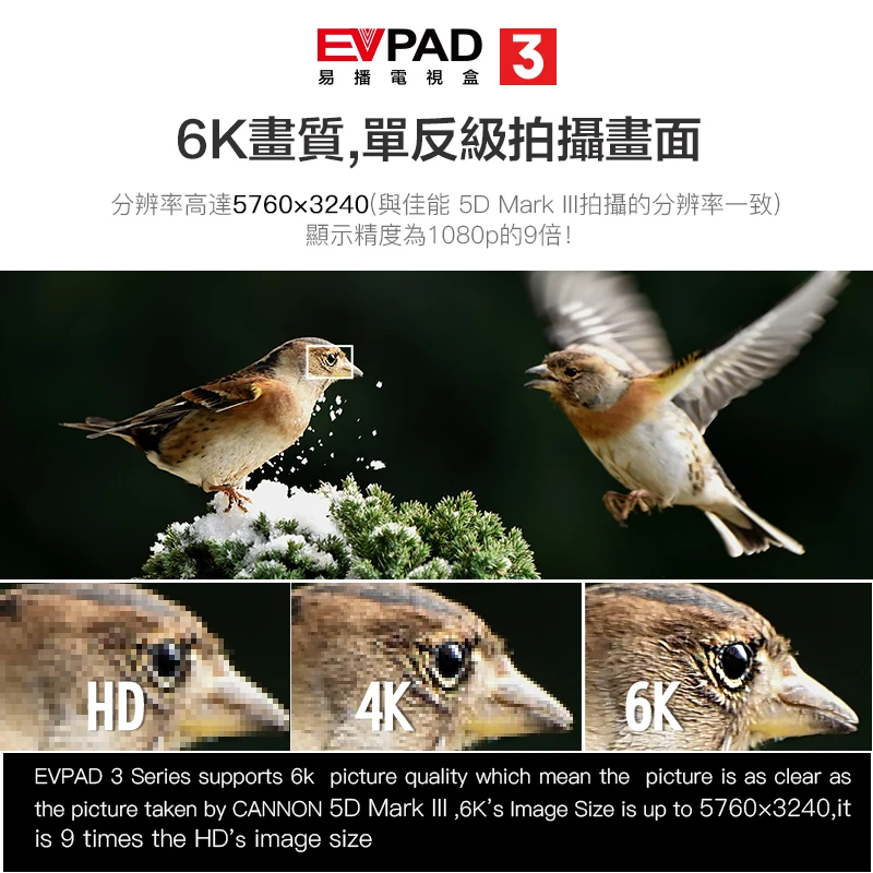 [Подлинный] Evpad ТВ приставка evpad 3/3 plus/3max+ 4 64G пожизненная трансляция ТВ/VOD/воспроизведение поддержка h.265 декодирование 6k ultra HD 3D медиа