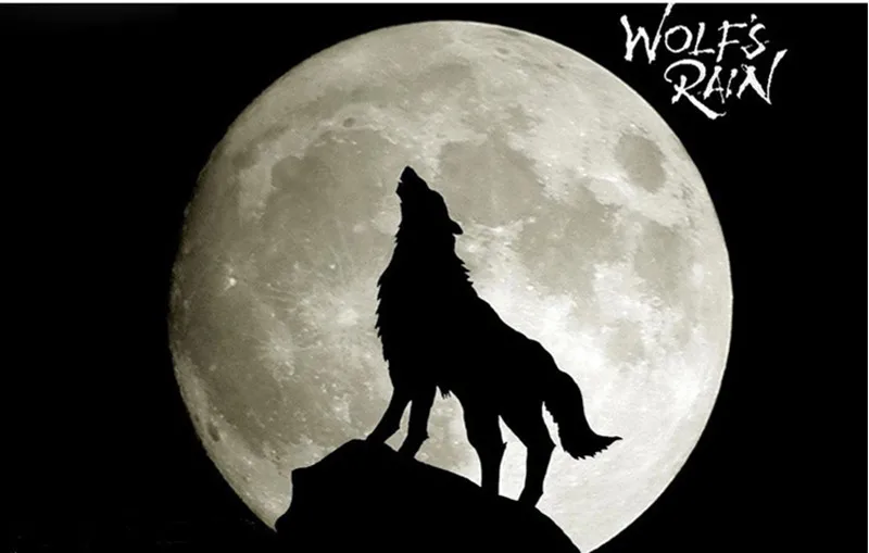 高档微风顶级 3米碳杆狼王风筝3