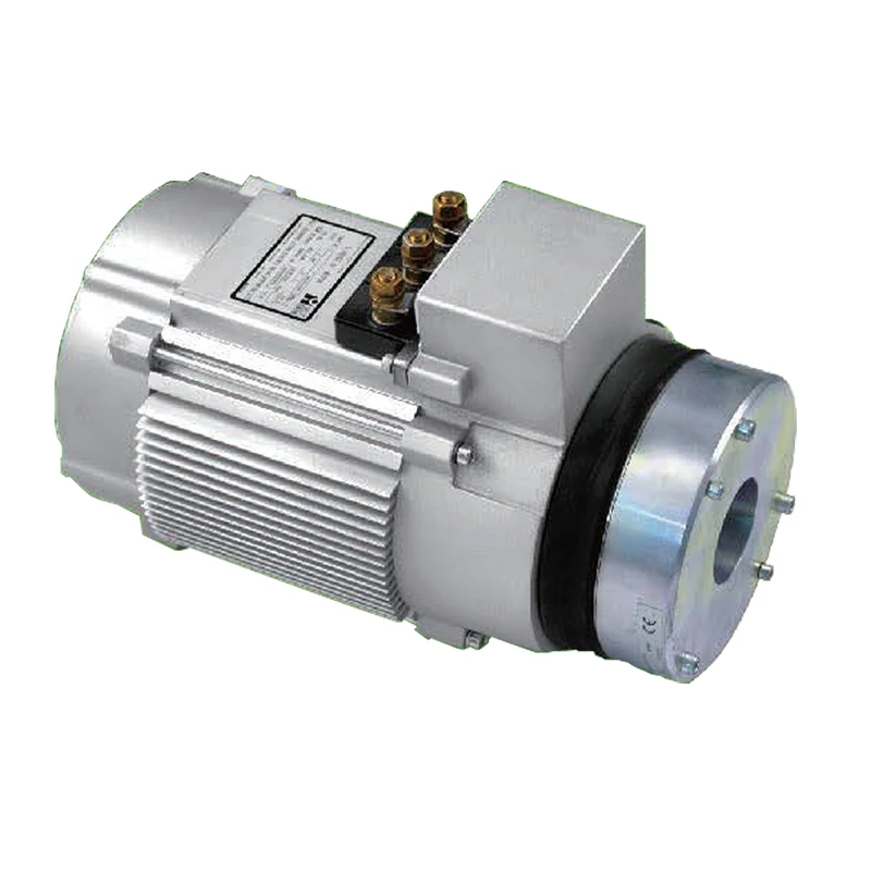 

3000rpm 3kW 48V Electric Vehicle AC Motor for Auto
