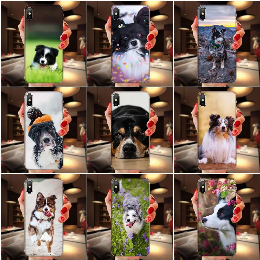 Border Collie Dog For Samsung Galaxy A10 A20 A20E A3 A40 A5 A50 A7 J1 J3 J4 J5 J6 J7 2016 2017 2018 Back Cases Protective | Мобильные