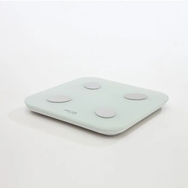 Body fat scale