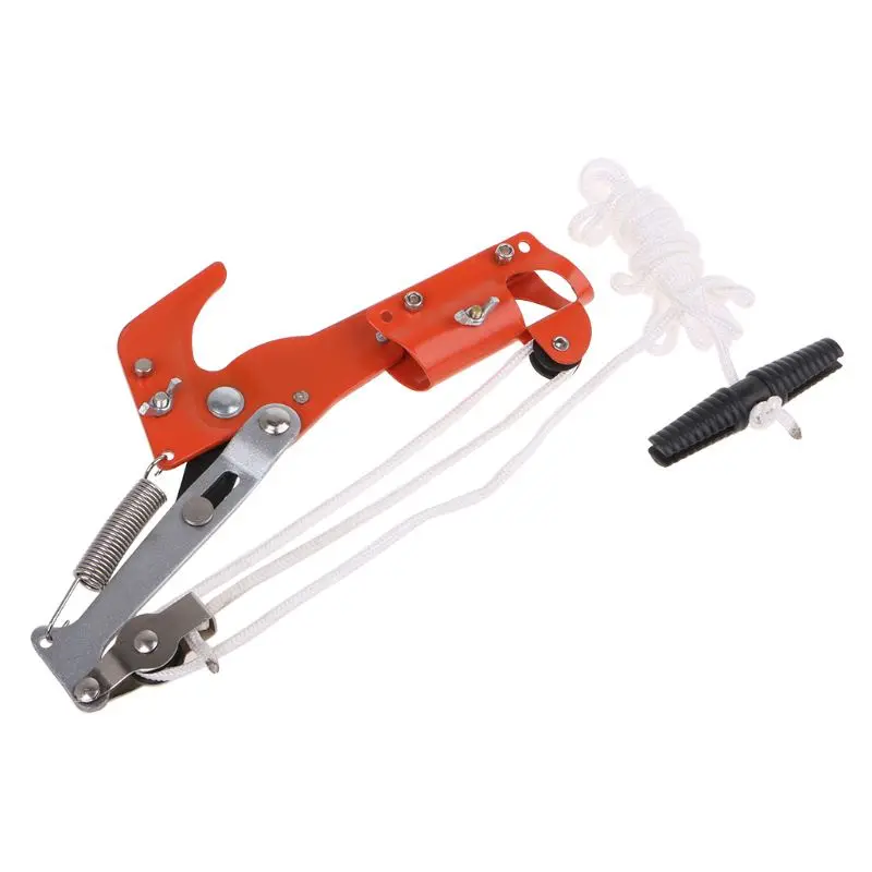 Garden Tools