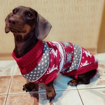 Winter Dog Sweater for Small Pets 1