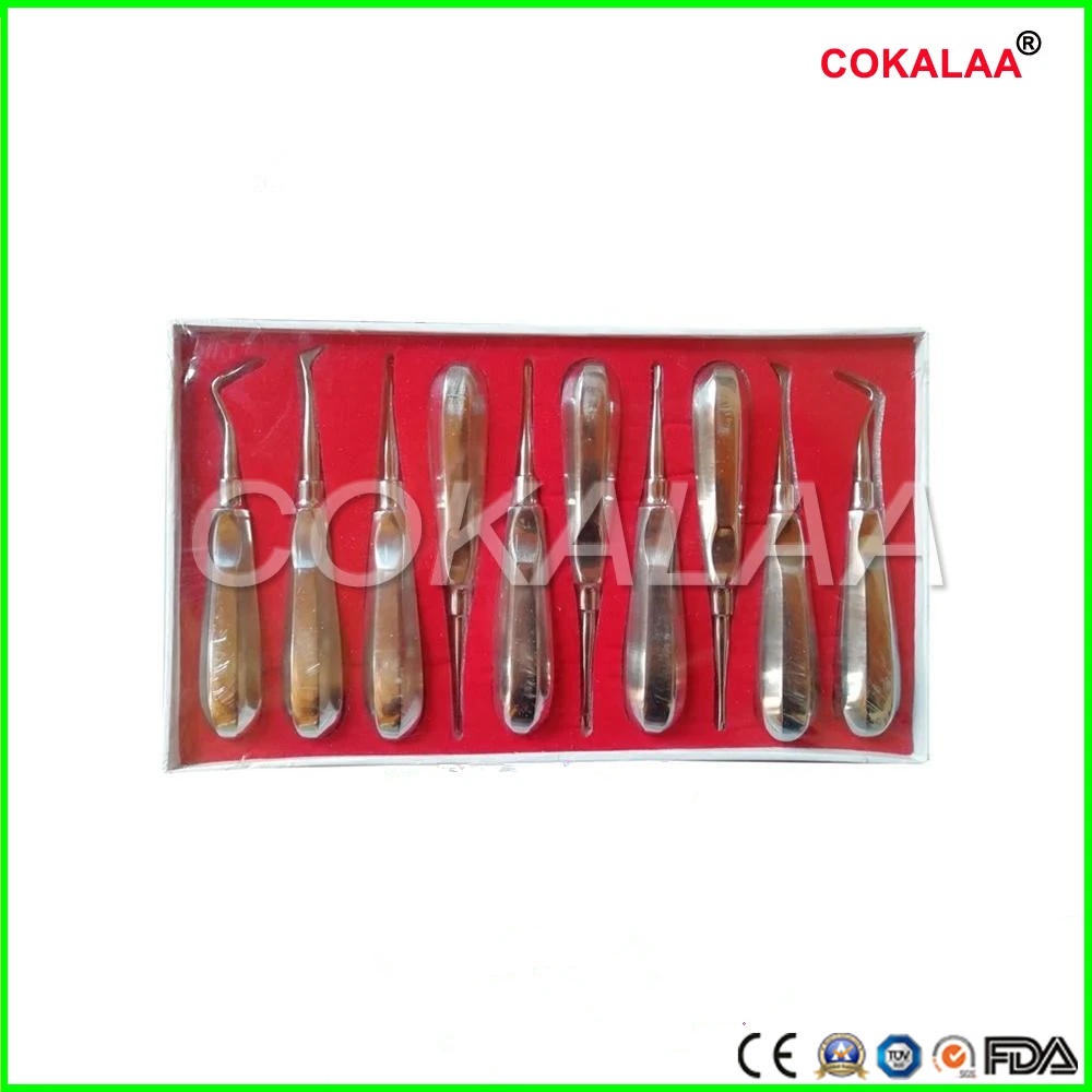 10pc Teeth extraction elevator dentistry dentist dental instrument