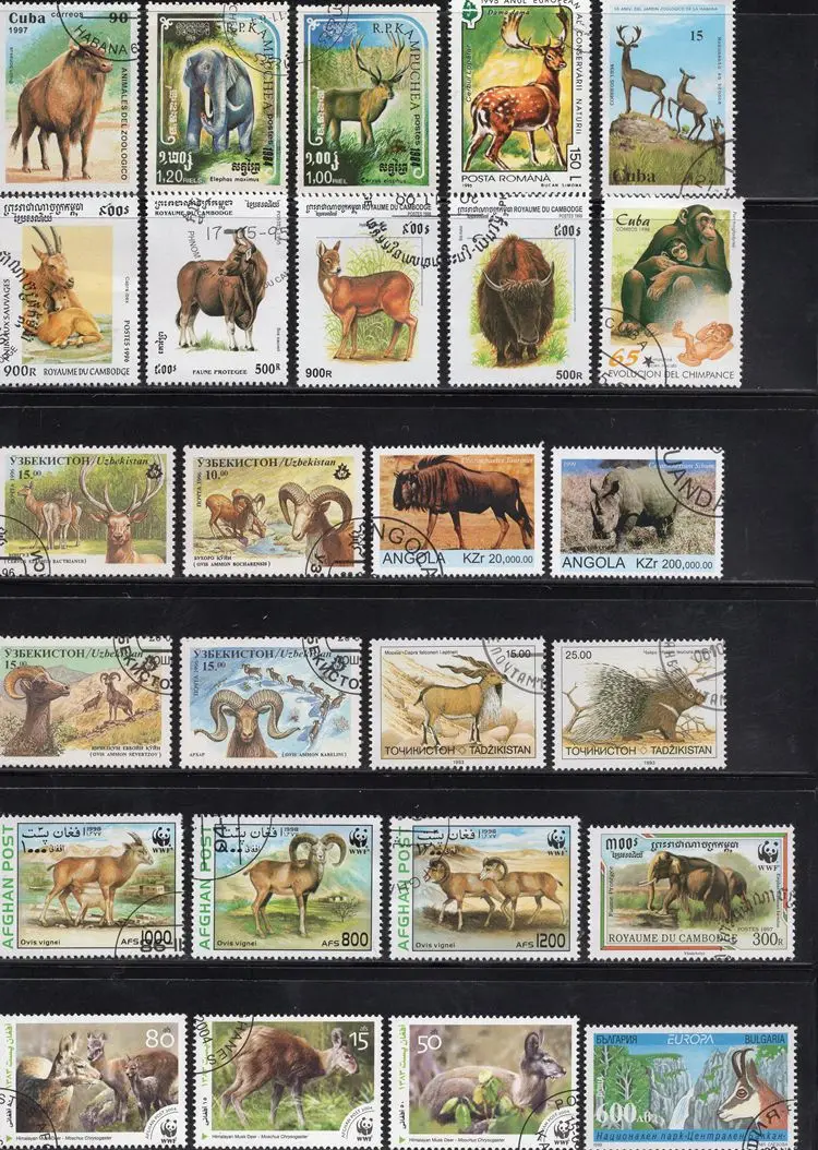 

50Pcs/Lot Wild Animals Stamp Topic All Different From Many Countries NO Repeat Postage Stamps with Post Mark for Collecting