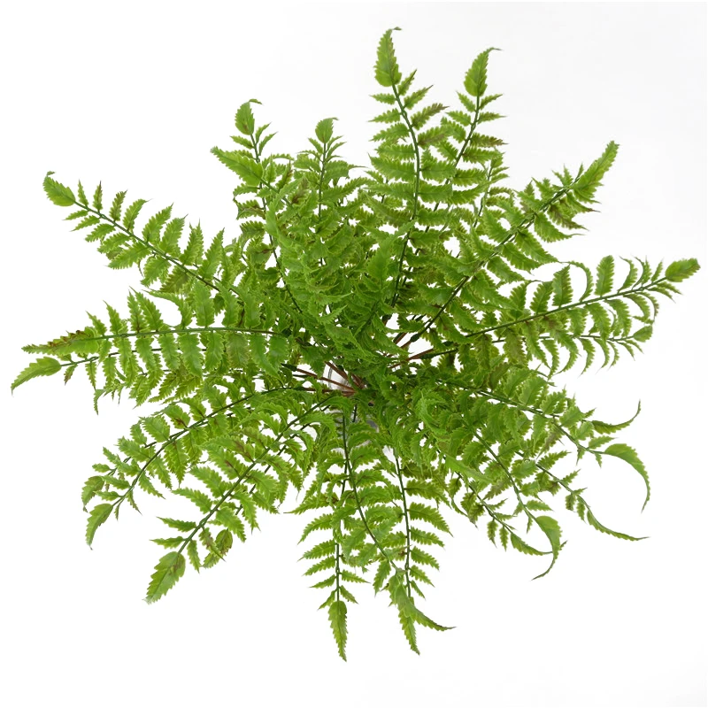 Simulation fern grass green plant artificial fern persian leaves flower wall hanging plants home wedding shop decoration