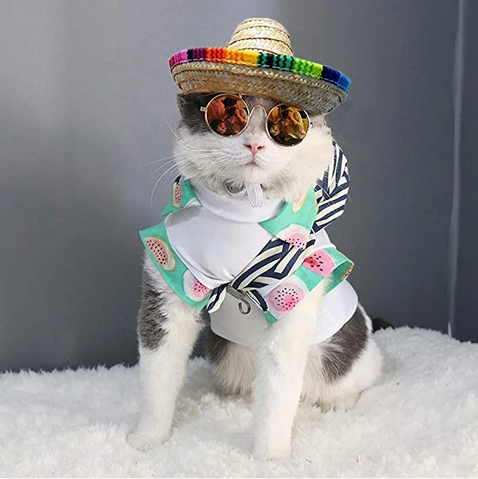 Bettli co sombrero chapu, gato mexicano chapus mini palha com  multicolorido trimsombrero chapus de festa para pequenos animais de  estimao/filhote de cachorro/gato|Bons p/ ces| - AliExpress