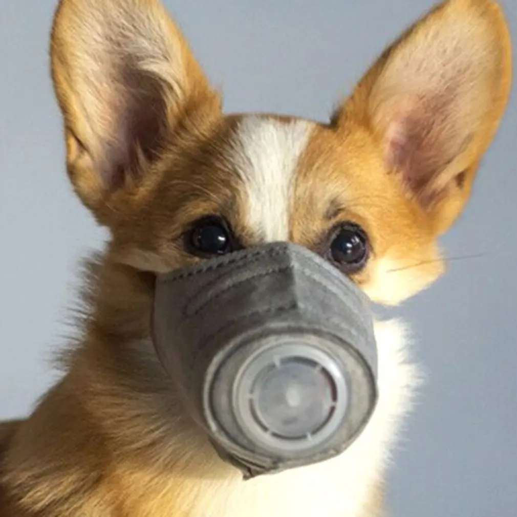 

3Pcs Pet Mask Anti-Fog And Haze Mask Protection Dustproof Dog Mouth Cover Dog Mask S M L 3 Size Optional
