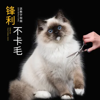 

Pet Grooming Scissors Stainless Steel Cats Hair Seam Scissors Up And Down Curved Scissors Sharp Haircut Pet Tool Set OO50MR