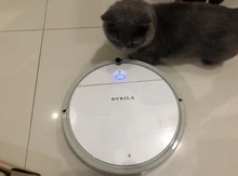 BVRILA-tanque de agua con Control remoto para alfombra de pelo de mascota, Aspiradora Robótica, succión de 3600Pa, 150ML, autorecarga, versión estándar