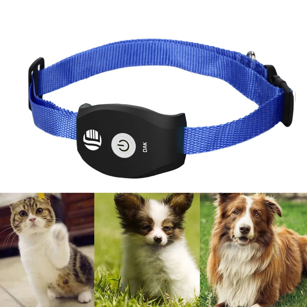 dog collar tracking system