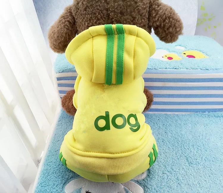 HTB1R5UGLXXXXXb0XVXXq6xXFXXXV